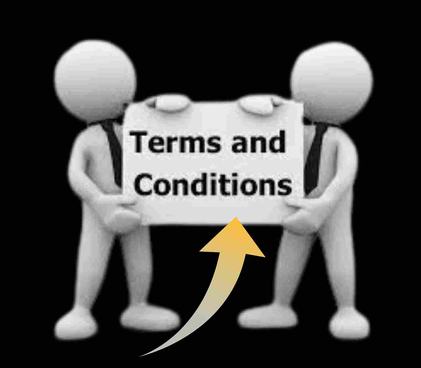 Terms and Conditions
