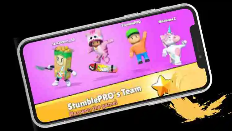 pro team